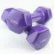 Фитнес гантели виниловые 2 кг х 2 шт
