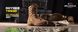 BELLEVILE берці літні американські Оригінал - Черевики Khyber TR550 Hot weather multi-terrain boot Coyote brown 40-48 розміри (7-15)